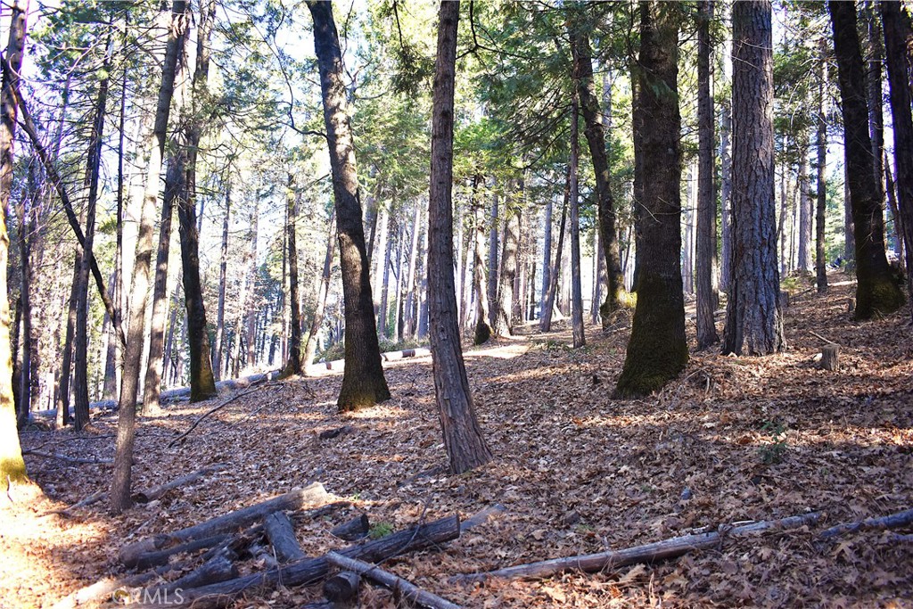 0 Forbestown Road Oroville, CA 95966 - Photo 12 of 25 a backyard of a house with lots of green space