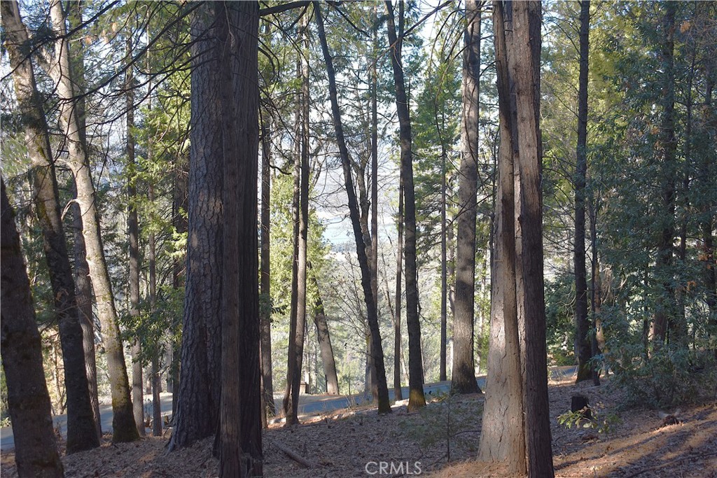 0 Forbestown Road Oroville, CA 95966 - Photo 15 of 25 a view of outdoor space and yard
