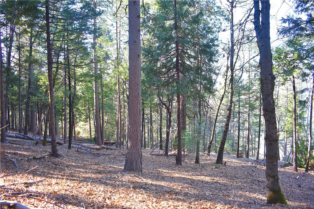 0 Forbestown Road Oroville, CA 95966 - Photo 16 of 25 a view of a backyard with trees