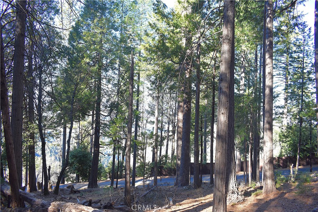 0 Forbestown Road Oroville, CA 95966 - Photo 19 of 25 a view of street with trees