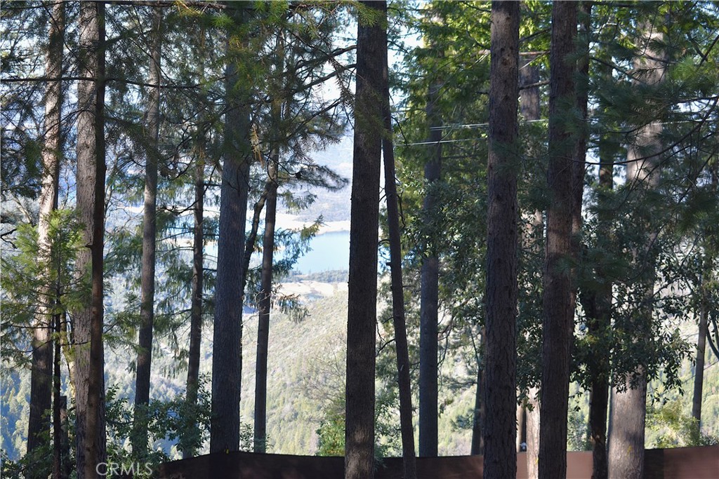 0 Forbestown Road Oroville, CA 95966 - Photo 22 of 25 a view of forest