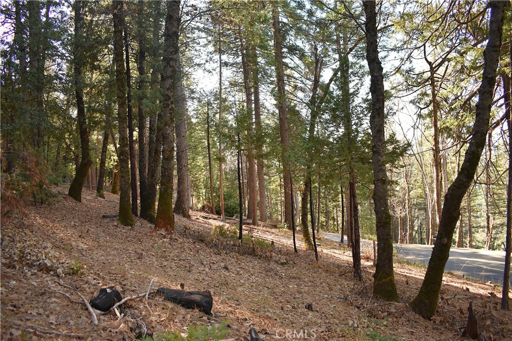 0 Forbestown Road Oroville, CA 95966 - Photo 23 of 25 a backyard of a house with lots of green space