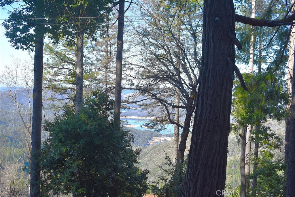 0 Forbestown Road Oroville, CA 95966 - Photo 24 of 25 a view of a tree in the back yard