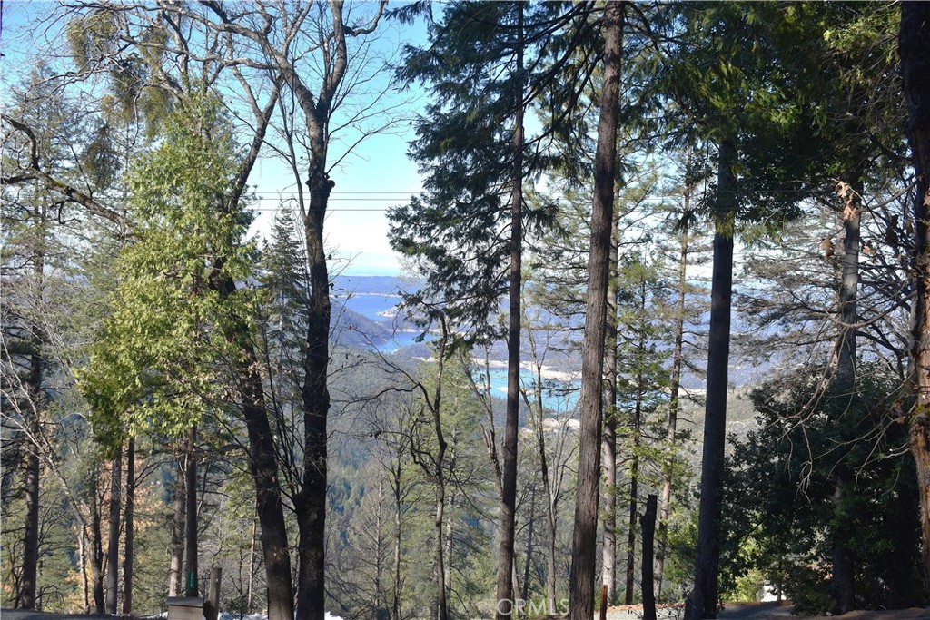 0 Forbestown Road Oroville, CA 95966 - Photo 25 of 25 a view of forest