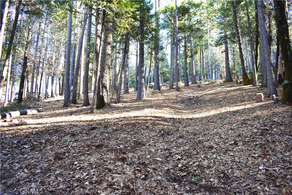 0 Forbestown Road Oroville, CA 95966 - Photo 6 of 25 a view of a house with backyard and trees