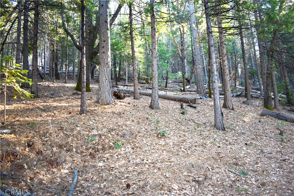 0 Forbestown Road Oroville, CA 95966 - Photo 8 of 25 a view of a park with large trees