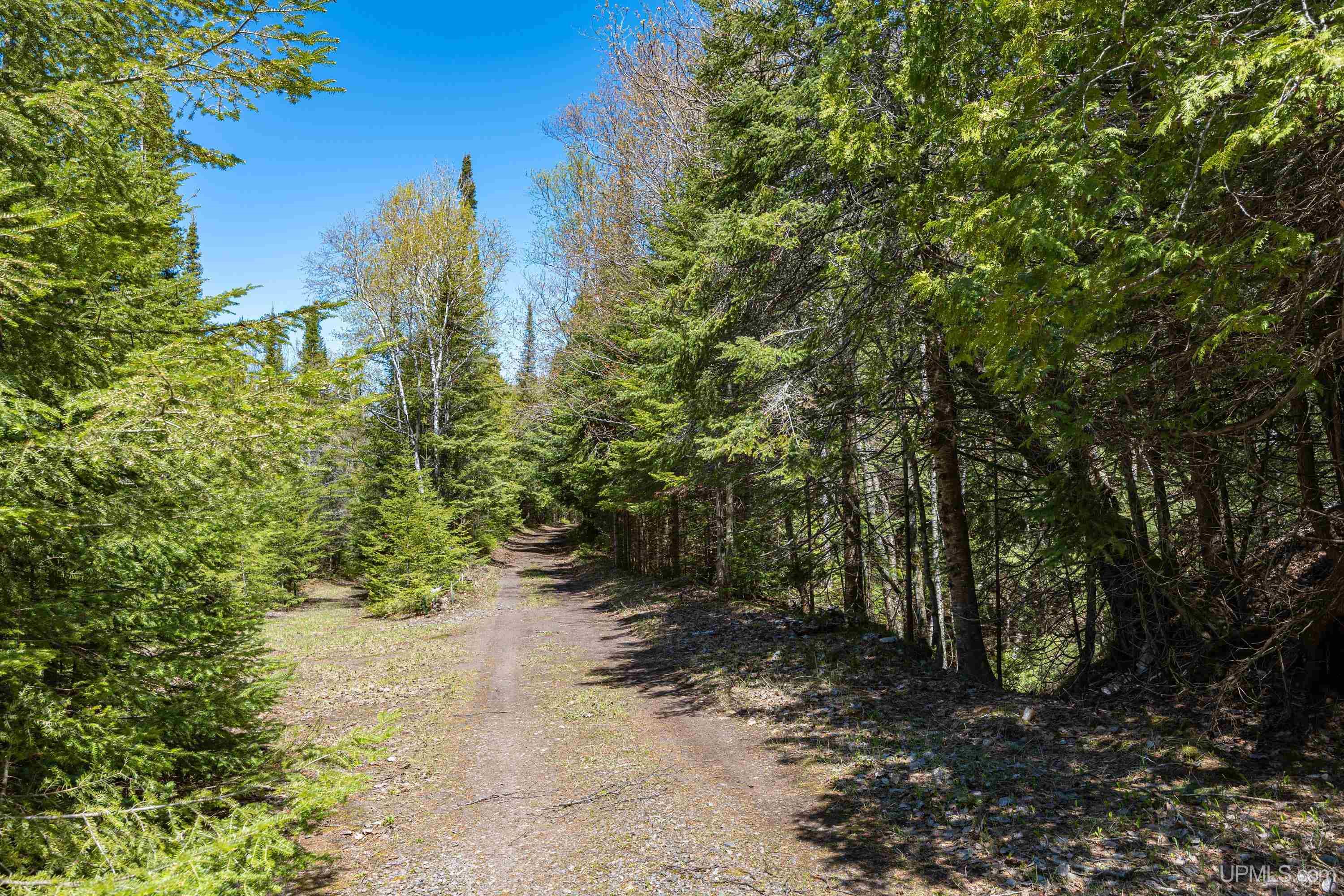 49190 Upper Freda Shores Road Atlantic Mine, MI 49905 - Photo 38 of 68