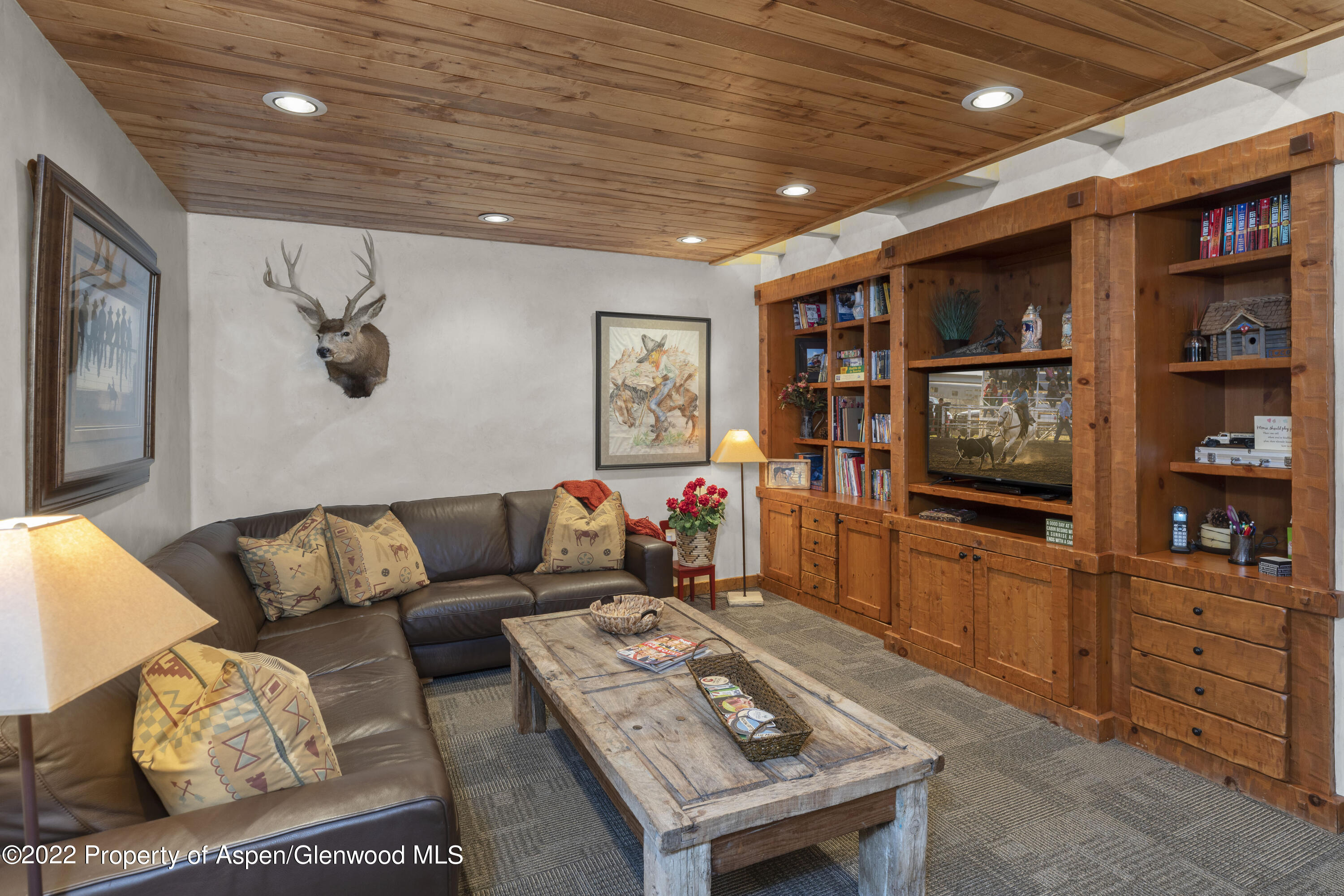 13380 Road 38 Dolores, CO 81323 - Photo 14 of 38 man cave colorado goble creek ranch