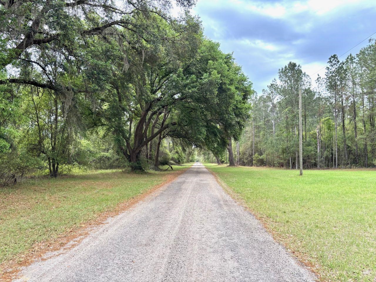 Vacant Southwest Ontario Road Greenville, FL 32331 - Photo 11 of 11