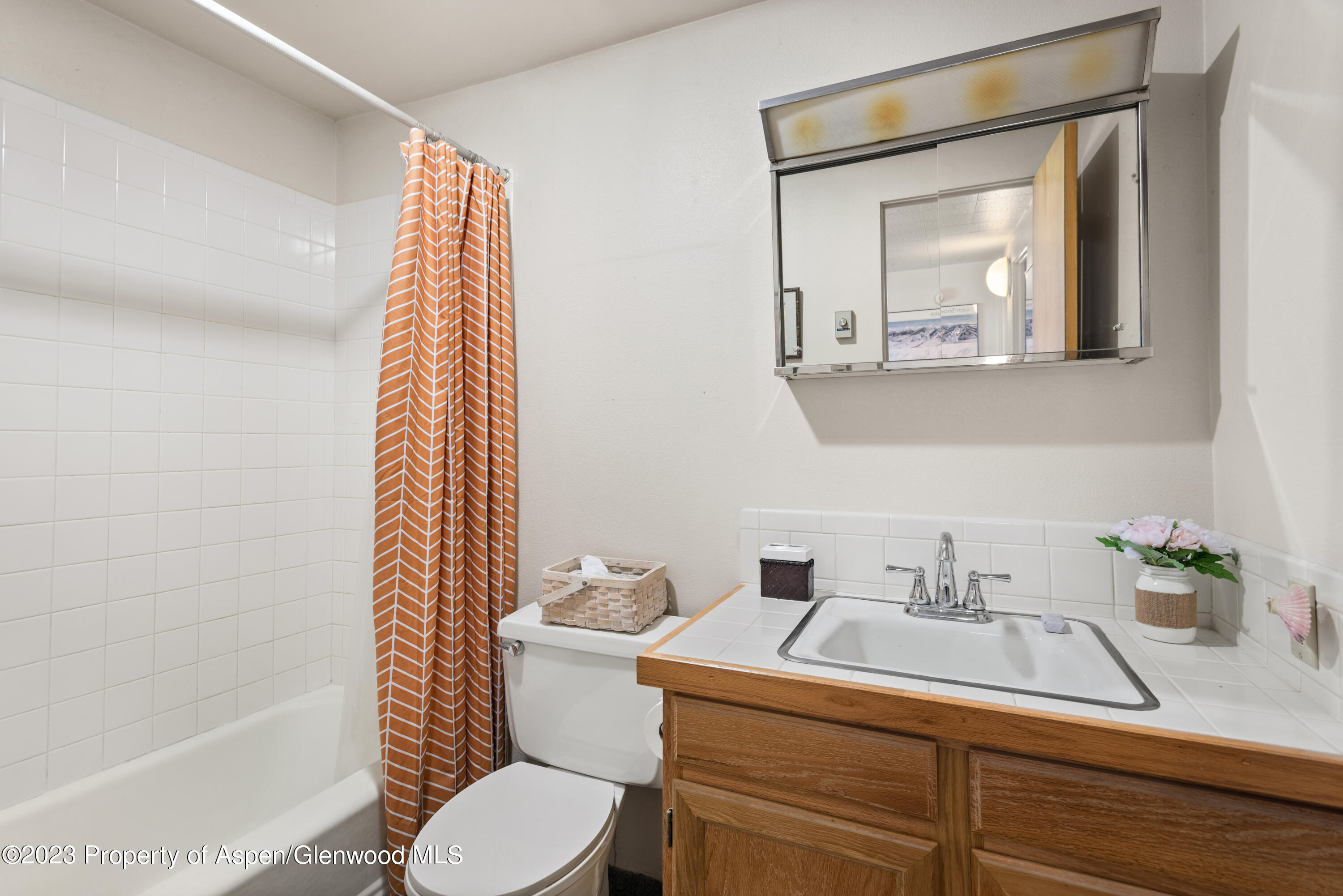 1501 Maroon Creek Road, Unit 5 Aspen, CO 81611 - Photo 19 of 22 1501 Maroon Creek #5