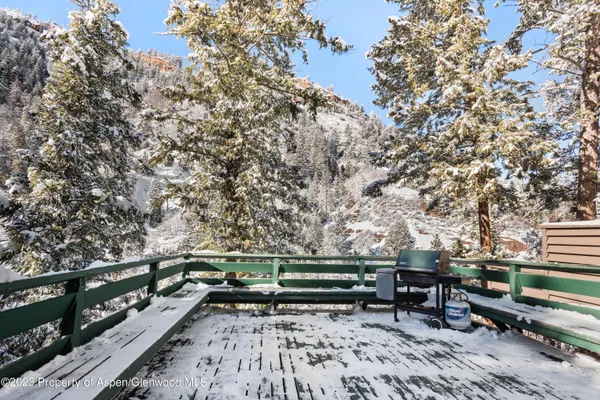 $14,000 | 1501 Maroon Creek Road, Unit 5, Aspen, CO 81611