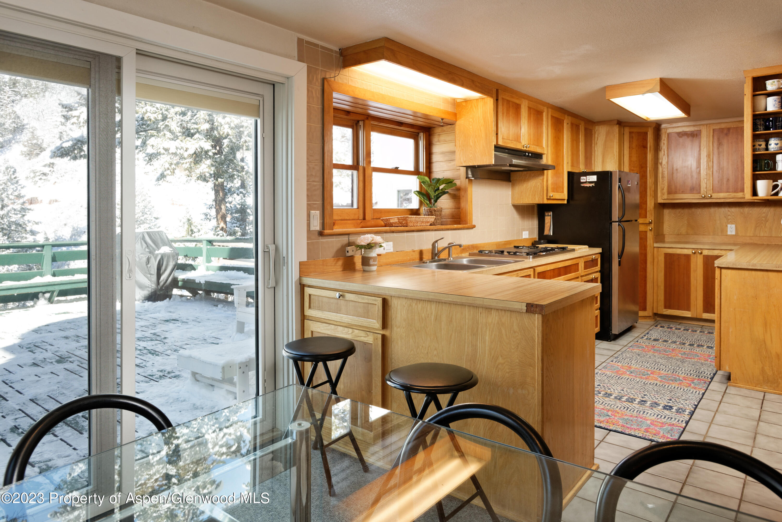 1501 Maroon Creek Road, Unit 5 Aspen, CO 81611 - Photo 9 of 22 1501 Maroon Creek #5