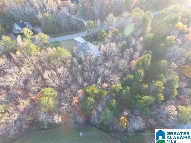 924 Blue Ridge Way Odenville, AL 35120 - Photo 44 of 50