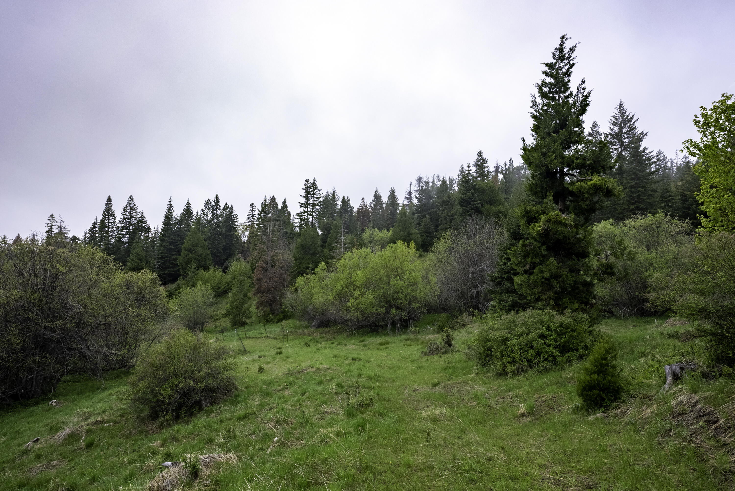 12681 Dead Indian Memorial Road Ashland, OR 97520 - Photo 11 of 35 DSC02041