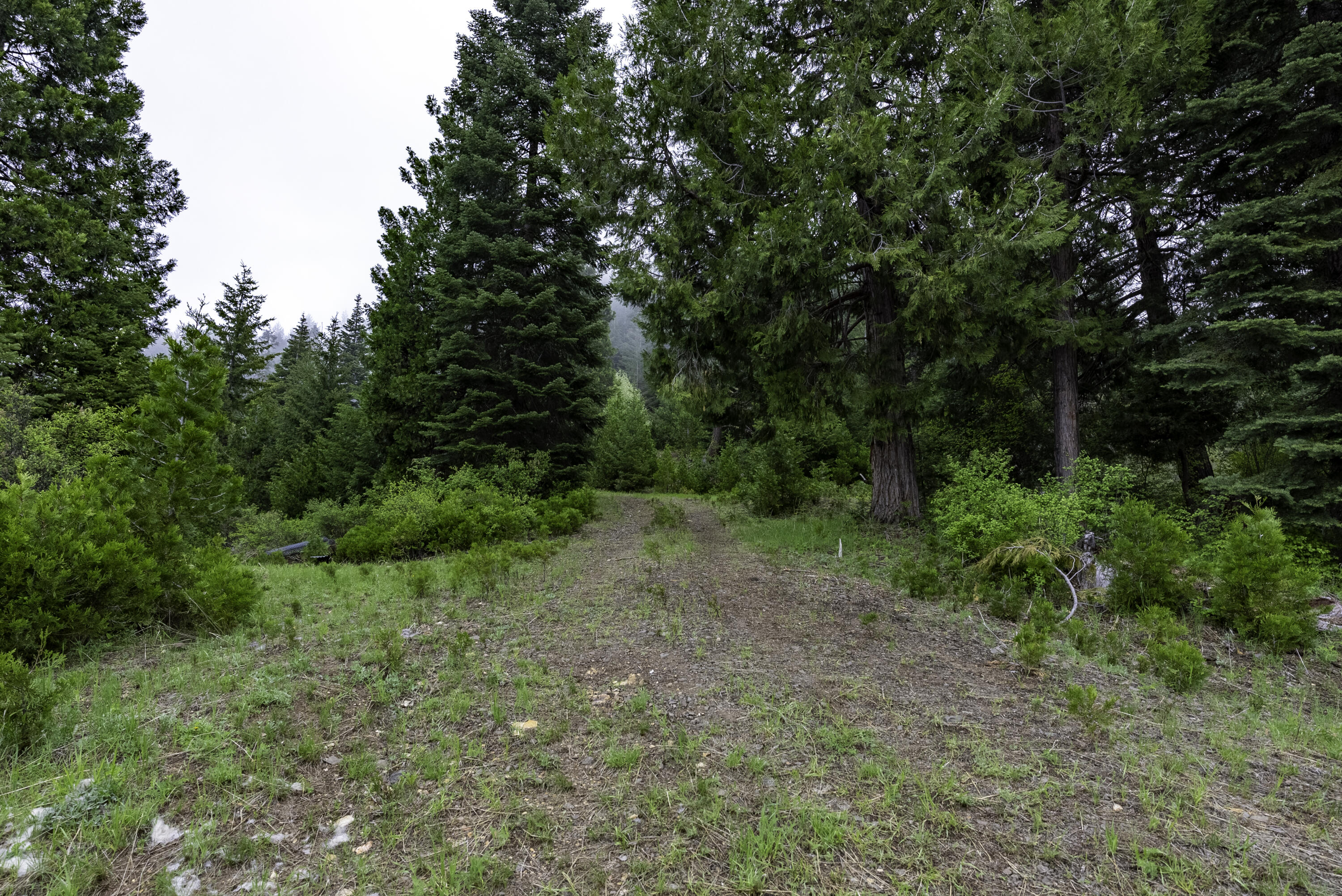 12681 Dead Indian Memorial Road Ashland, OR 97520 - Photo 12 of 35 DSC02056