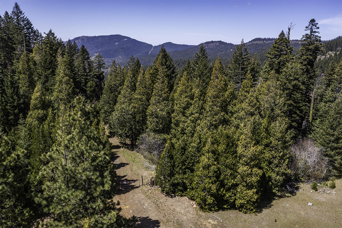 12681 Dead Indian Memorial Road Ashland, OR 97520 - Photo 24 of 35 DJI_0733-HDR-Edit copy