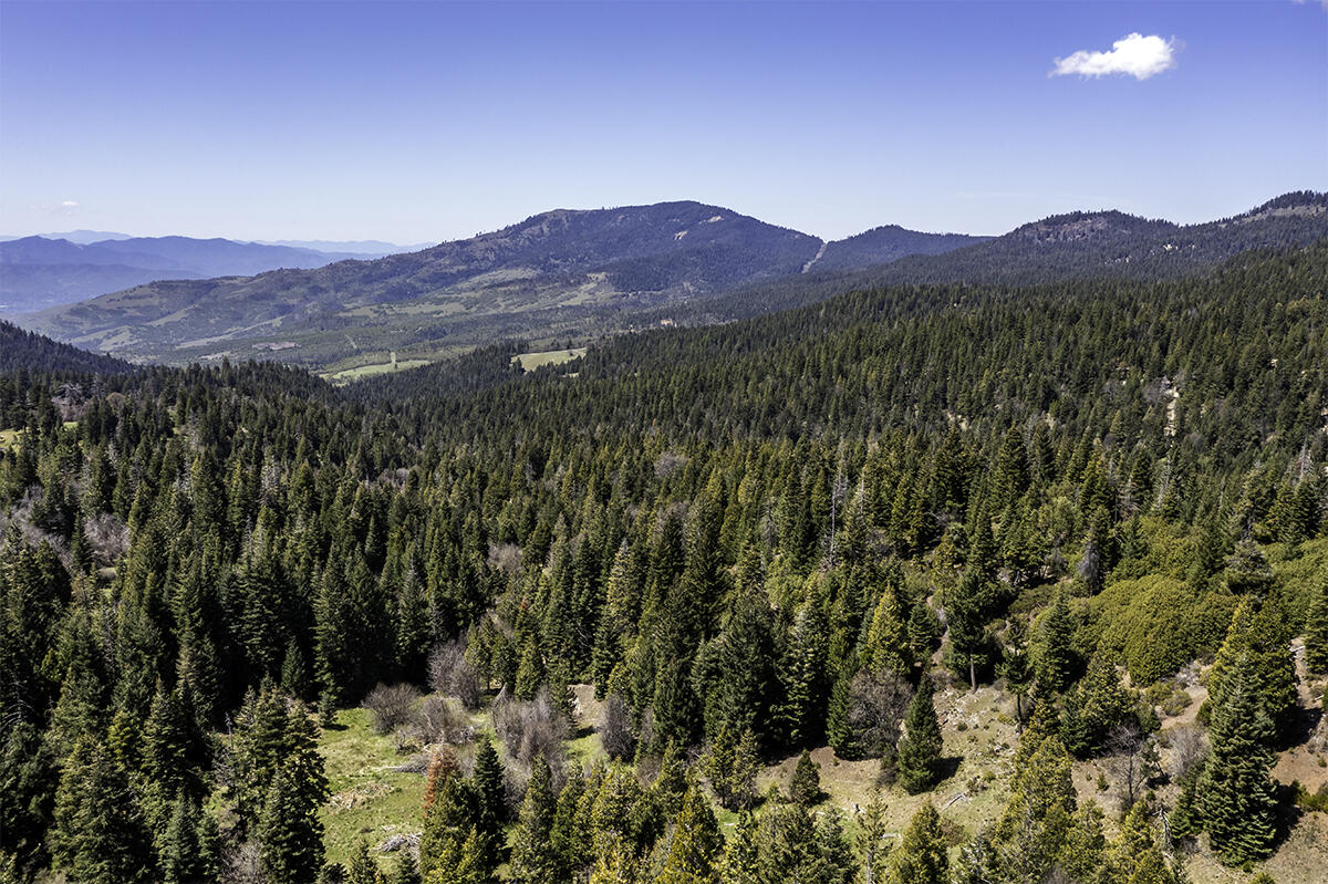 12681 Dead Indian Memorial Road Ashland, OR 97520 - Photo 33 of 35 DJI_0773-HDR-Edit copy