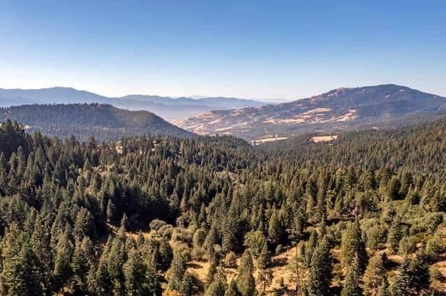 12681 Dead Indian Memorial Road Ashland, OR 97520 - Photo 8 of 35 DIM