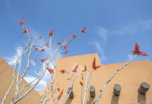 $795,000 | 5499 Garner Field Road, Uvalde, TX 78801