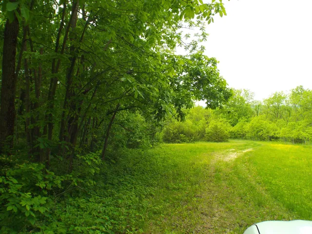 a view of a big yard with lots of green space