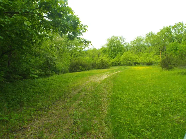 a view of field with trees in the background