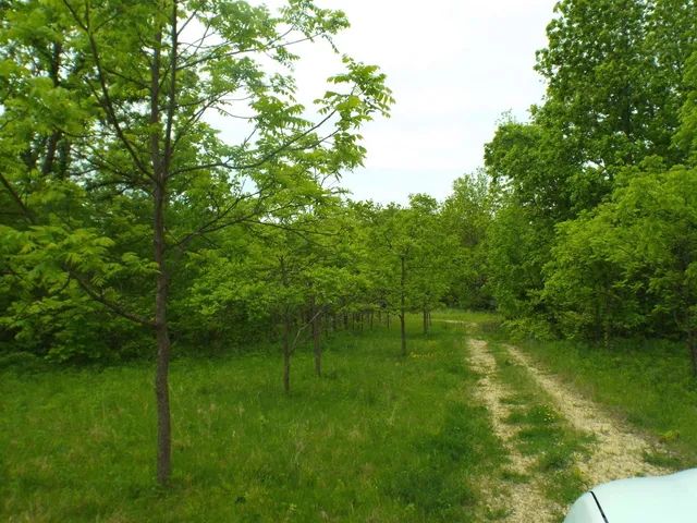 a backyard of a house with lots of green space and fountain