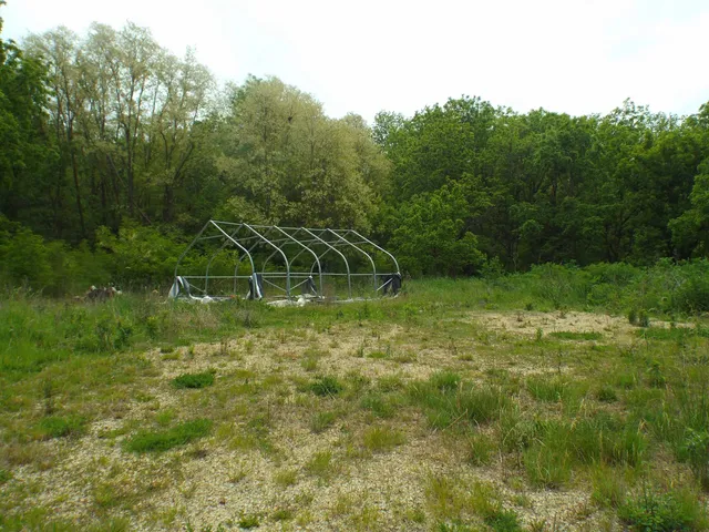 a view of a lush green space