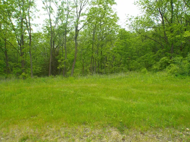 a view of outdoor space with a garden
