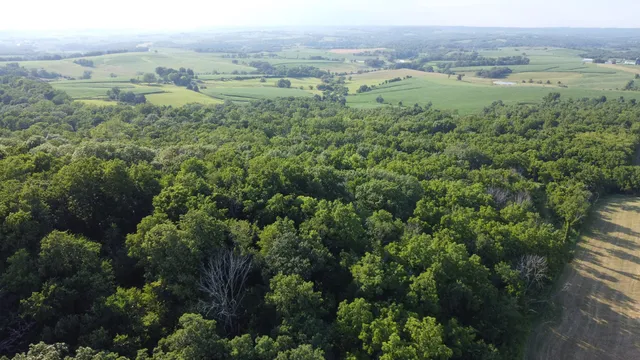 an aerial view of forest