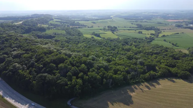 a view of a lake with a mountain in the background
