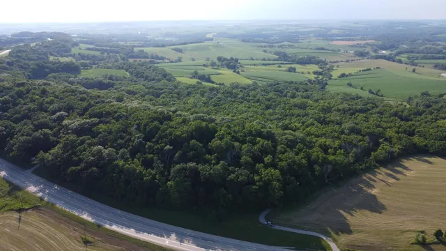 a view of a city with lush green forest