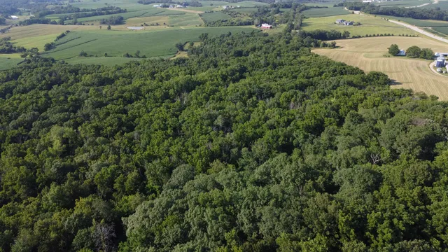 an aerial view of residential houses with outdoor space and trees