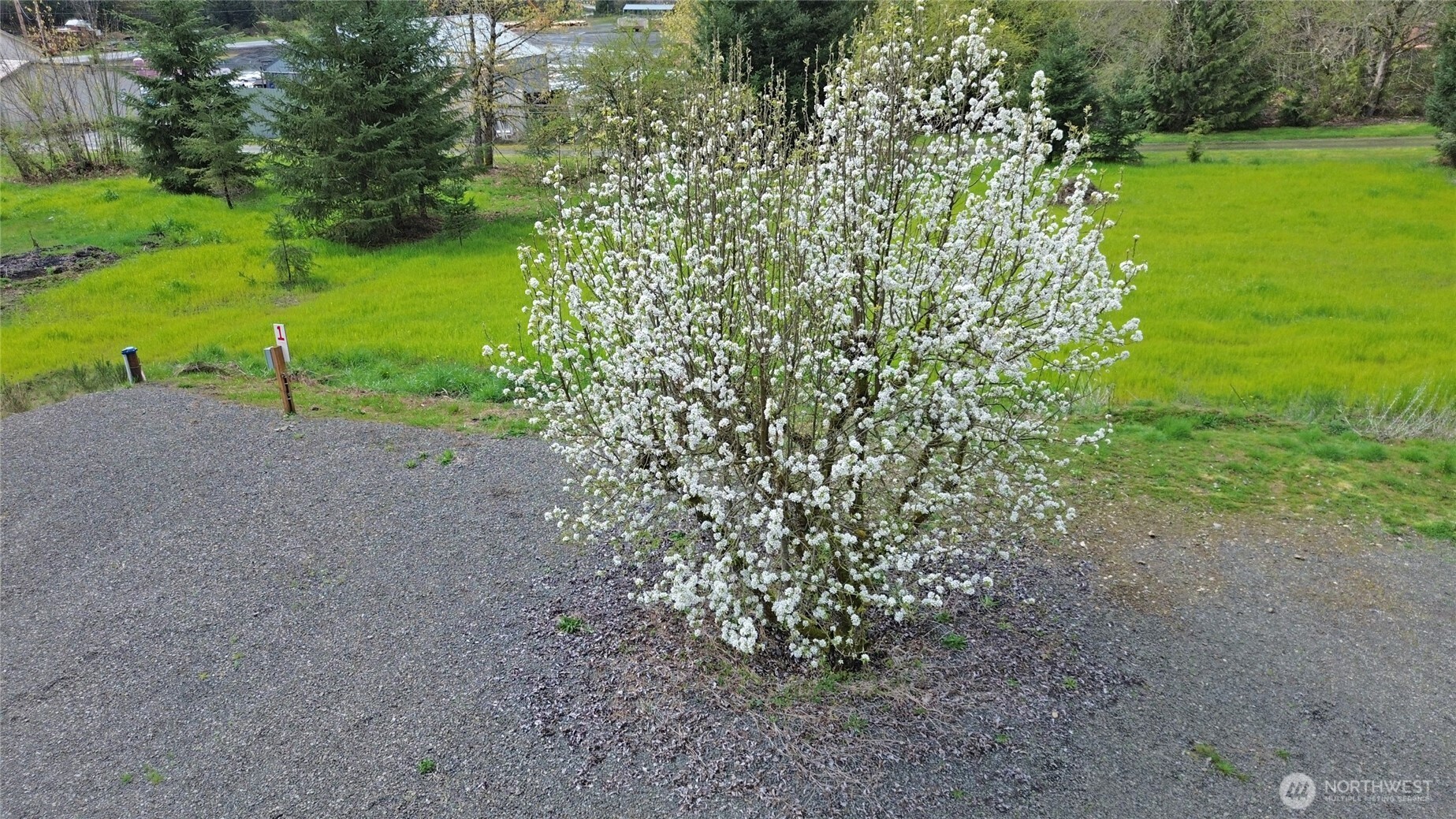 113 Leroy Road Randle, WA 98377 - Photo 18 of 39