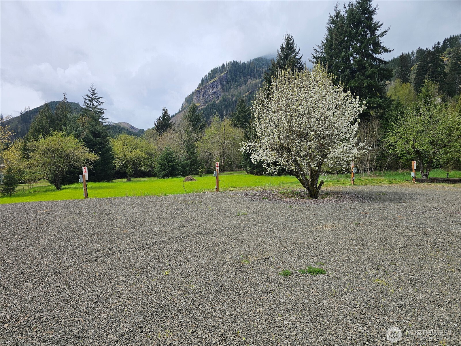 113 Leroy Road Randle, WA 98377 - Photo 29 of 40