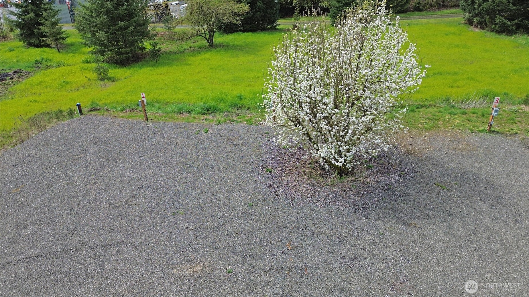 113 Leroy Road Randle, WA 98377 - Photo 35 of 40 a view of a garden with a tree