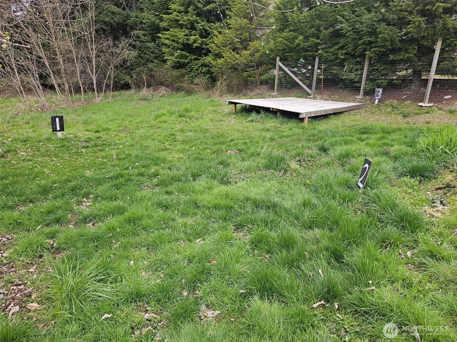 113 Leroy Road Randle, WA 98377 - Photo 39 of 40 a view of a entertaining space