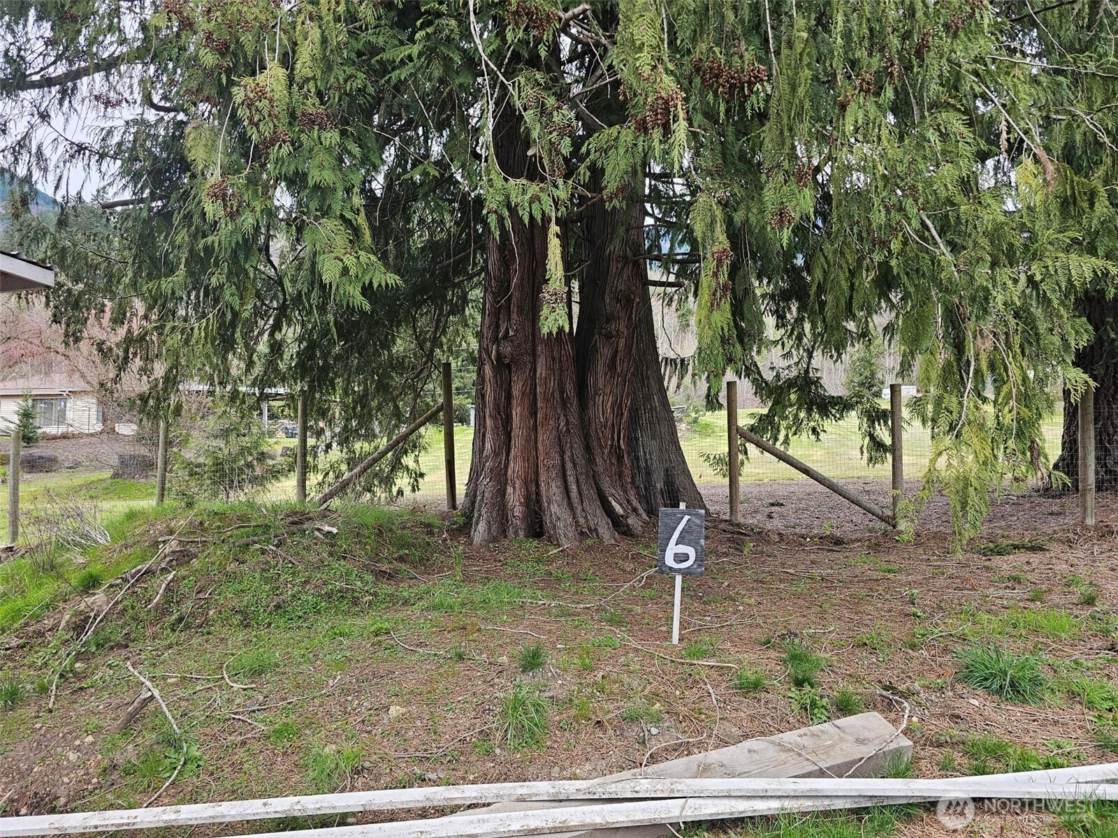 113 Leroy Road Randle, WA 98377 - Photo 40 of 40 a backyard of a house with lots of green space