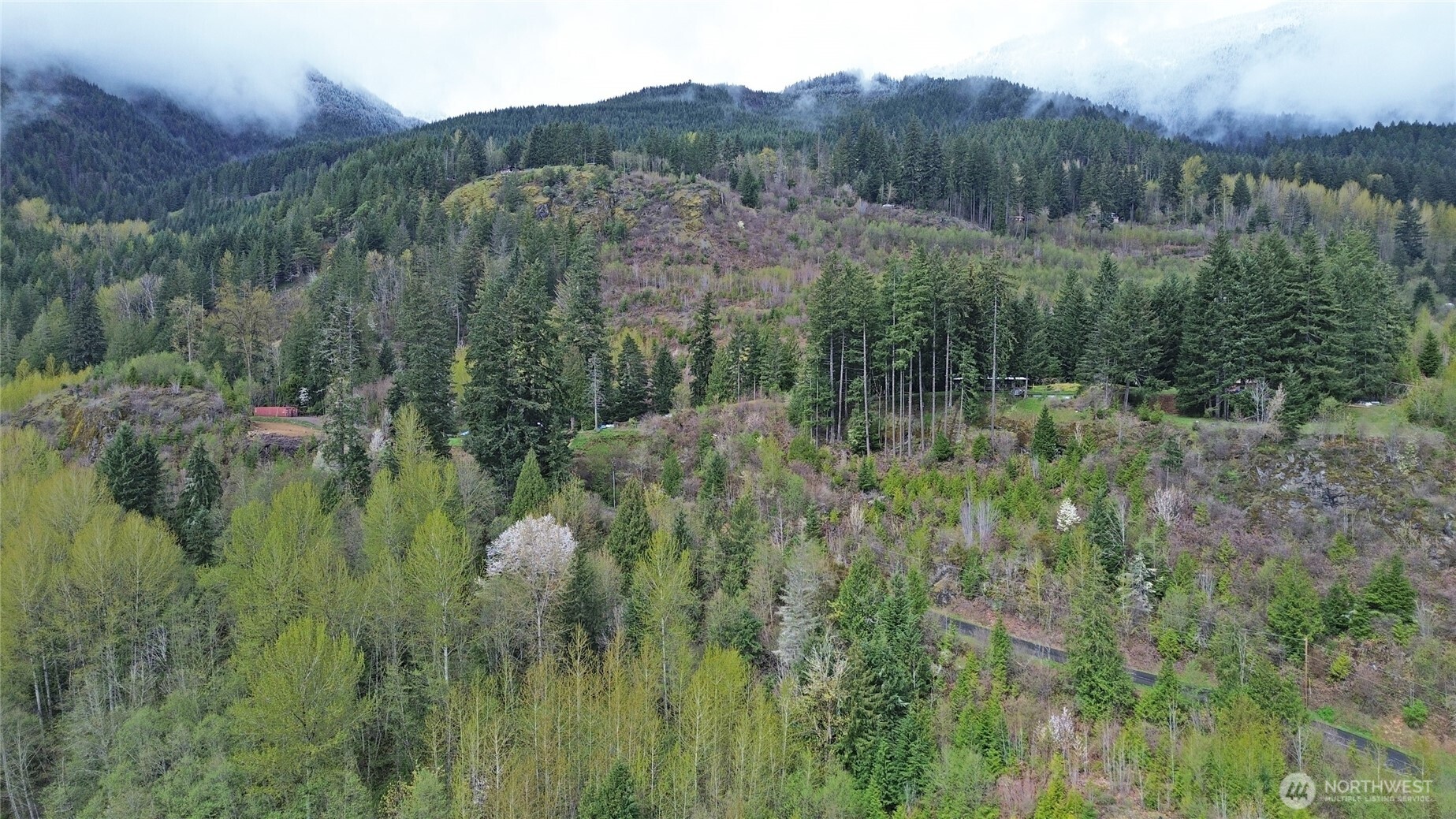 113 Leroy Road Randle, WA 98377 - Photo 9 of 40 a view of a lush green forest with trees and some houses