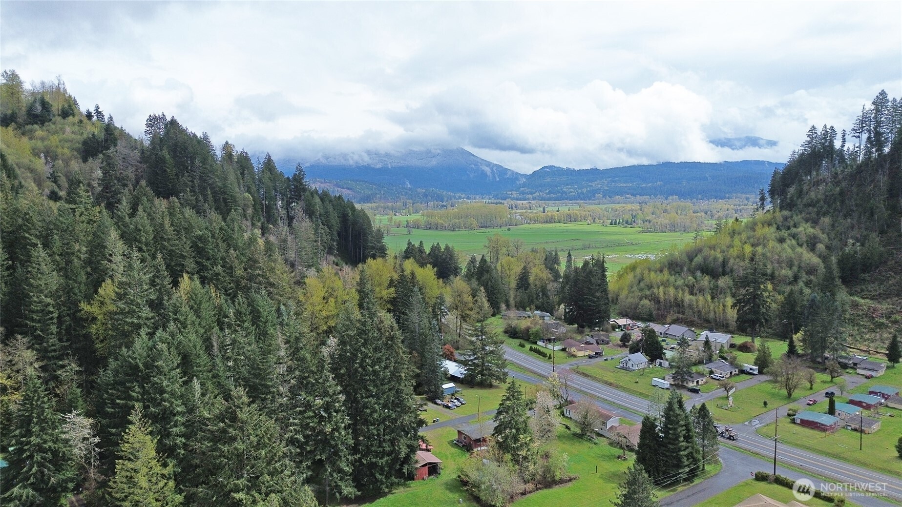 113 Leroy Road Randle, WA 98377 - Photo 10 of 40 a view of lake with mountain