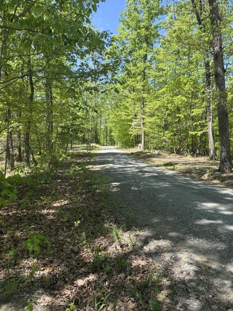 Davis Lane Aroda, VA 22709 - Photo 2 of 4 a backyard of a house with lots of green space