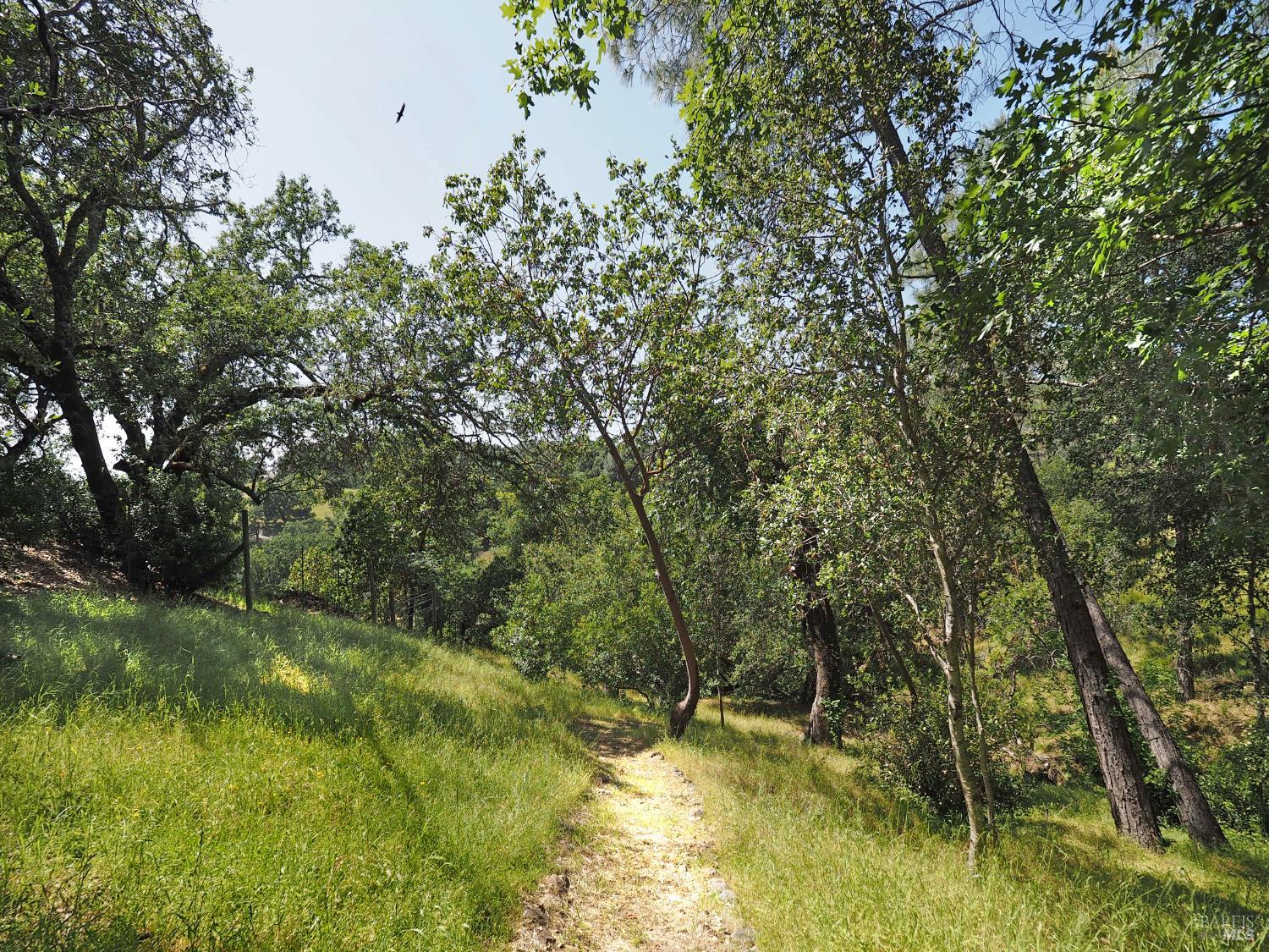 1575 Fox Ridge Road Geyserville, CA 95441 - Photo 3 of 57 Private trail to The Gill Creek below property