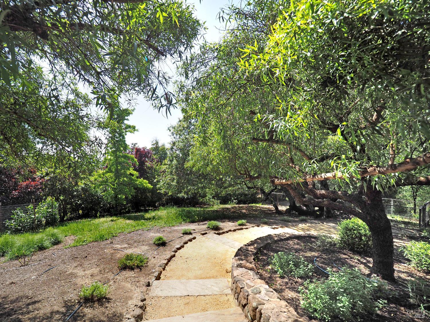 1575 Fox Ridge Road Geyserville, CA 95441 - Photo 40 of 57 Manicured yard