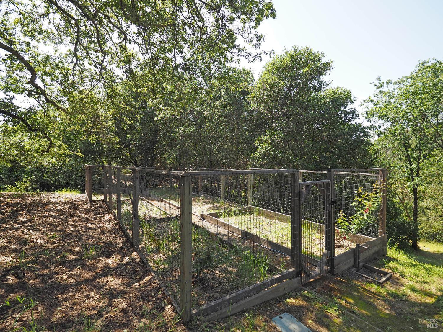 1575 Fox Ridge Road Geyserville, CA 95441 - Photo 43 of 57 Garden beds ready for the new owner