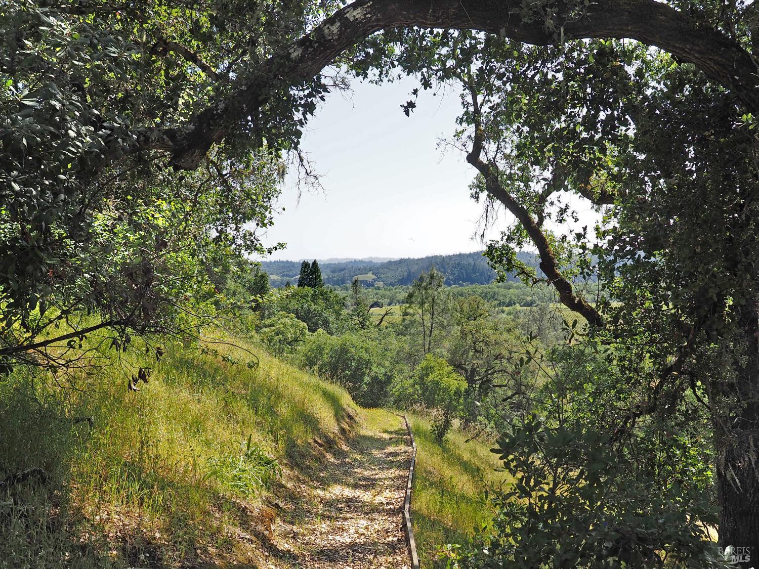1575 Fox Ridge Road Geyserville, CA 95441 - Photo 44 of 57 Hiking trail below house to the creek