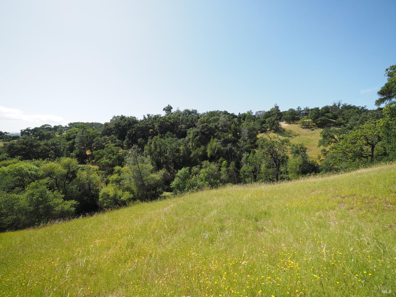 1575 Fox Ridge Road Geyserville, CA 95441 - Photo 45 of 57