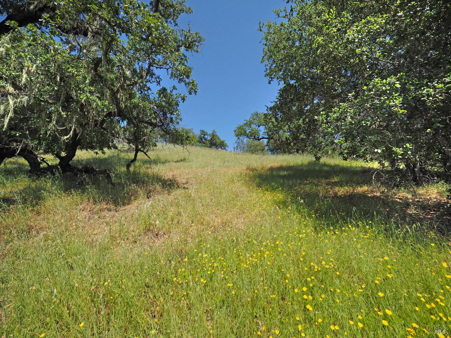 1575 Fox Ridge Road Geyserville, CA 95441 - Photo 51 of 57
