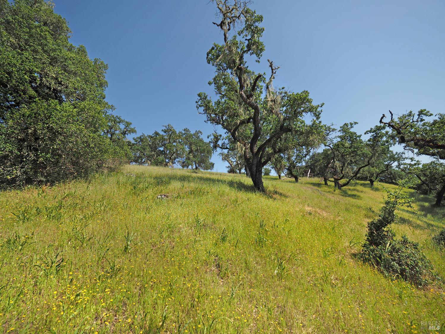 1575 Fox Ridge Road Geyserville, CA 95441 - Photo 52 of 57