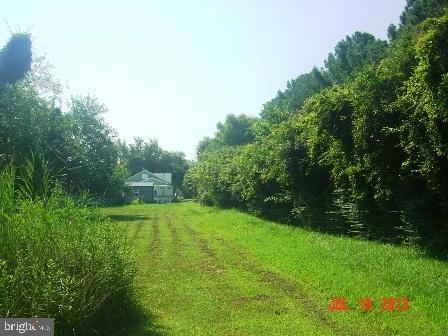 9096 Deal Island Road Deal Island, MD 21821 - Photo 11 of 14 Gallery Image 11