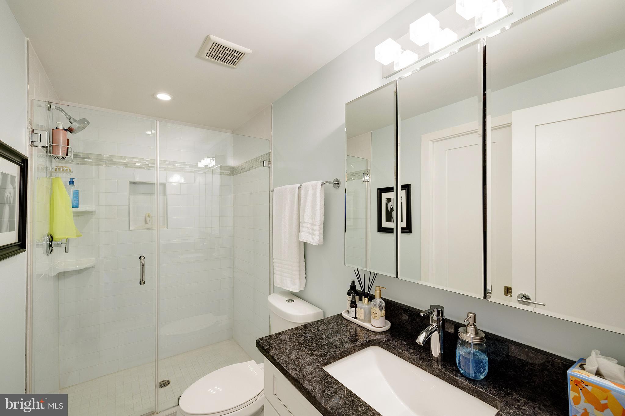 1514 Newton Street Northwest, Unit 301 Washington, DC 20010 - Photo 17 of 30 a bathroom with a sink toilet and shower