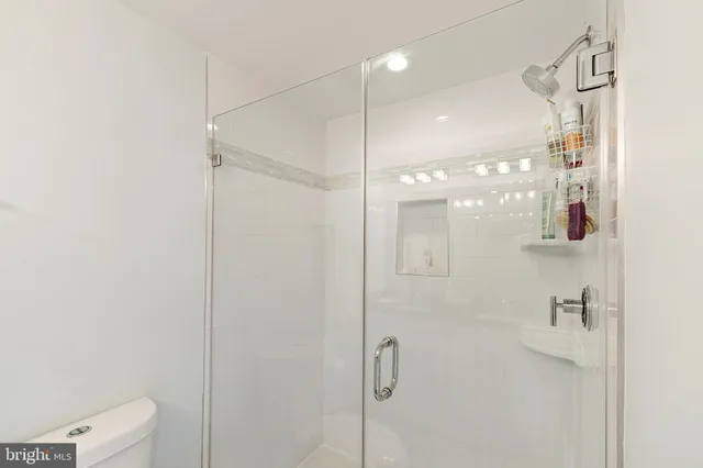 a bathroom with a shower and a toilet